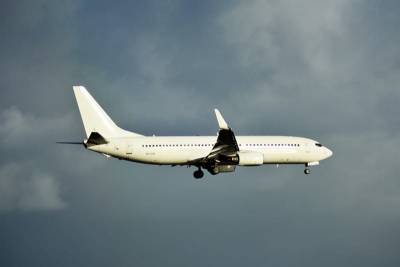 American Airlines возобновляет коммерческие рейсы Boeing 737 MAX в США - Cursorinfo: главные новости Израиля