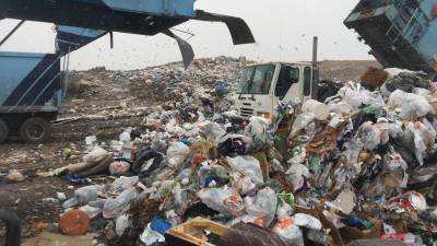 Российские мусорные операторы получили от властей 8,9 млрд рублей в пандемию