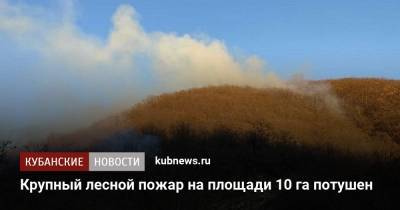 Крупный лесной пожар на площади 10 га потушен
