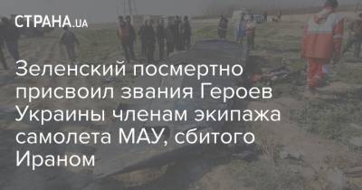 Зеленский посмертно присвоил звания Героев Украины членам экипажа самолета МАУ, сбитого Ираном