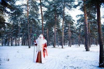Стали известны самые популярные желания россиян у Деда Мороза