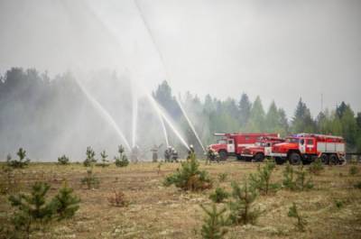 Регионам разрешат самостоятельно тушить ландшафтные пожары