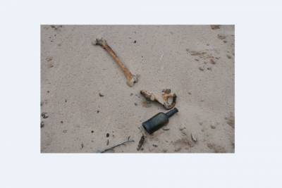 Найденный на пляже гроб с женщиной стал загадкой для шотландских ученых