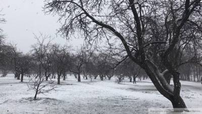 Москвичам не стоит ожидать большого количества снега в декабре
