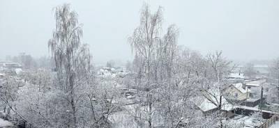 В Гидрометцентре предупредили, что в Москве снега можно ждать во второй половине декабря