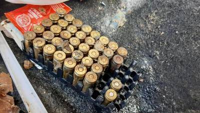 В порту Одессы пограничный пес нашел 150 патронов в багажнике авто (видео)
