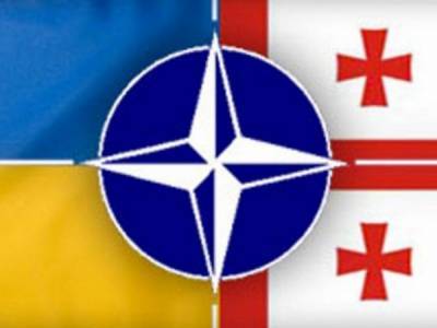 НАТО усилит поддержку Украины и Грузии на фоне агрессии РФ