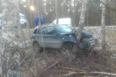В Рязанской области водитель улетел в кювет и врезался в дерево