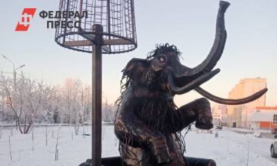 Тоболяки обсуждают неоднозначный памятник сидячему мамонту