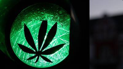 ООН исключила марихуану из списка наиболее опасных наркотиков