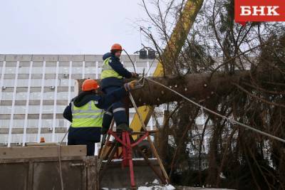 Стефановскую площадь Сыктвкара украсила 22-метровая елка