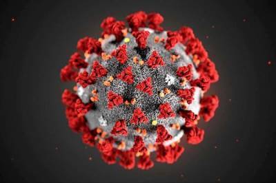 В России впервые за пандемию COVID-19 за сутки выявлено более 28 тысяч новых случаев заражения коронавирусной инфекцией
