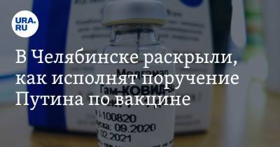 В Челябинске раскрыли, как исполнят поручение Путина по вакцине