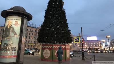 Власти Петербурга просят туристов не приезжать на новогодние праздники