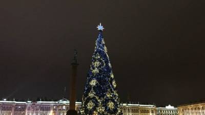 Россиян попросили не приезжать в Петербург на Новый год