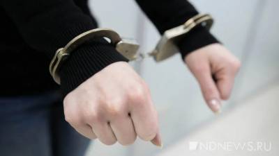 В Грузии задержали гражданку России с 7 килограммами наркотиков