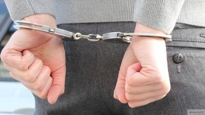Полиция задержала в Грузии россиянина с 7 кг наркотиков в багажнике