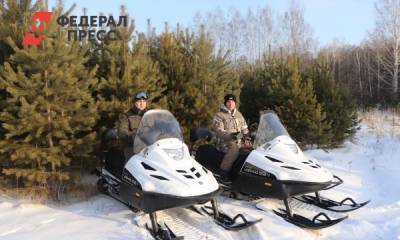 Проверки в Красноярском крае пока не выявили елочных браконьеров