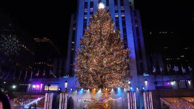 В Нью-Йорке открыли главную елку США: сказочные фото