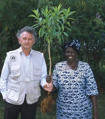 Фонд Yves Rocher висадив 100 мільйонів дерев у світі!