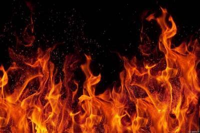 В Тверской области пьяный мужчина хотел сжечь тещин ковер, а спалил дом