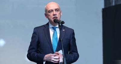 Глава МИД Грузии призвал оппозицию сплотиться и войти в парламент