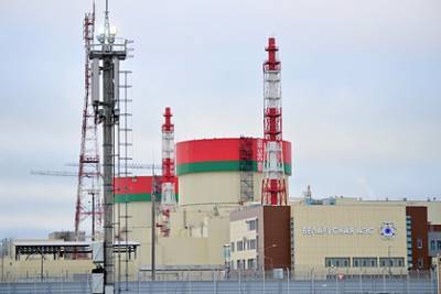 Власти призвали литовцев закупить консервы на случай аварии на Белорусской АЭС