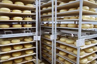 Власти Подмосковья рассказали о росте сырного производства