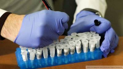 Обследование на коронавирус в Петербурге за сутки прошли 41 108 человек