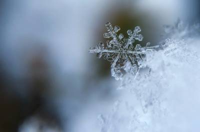 Нагрянут морозы до -14: какой будет погода на Луганщине в ближайшие дни