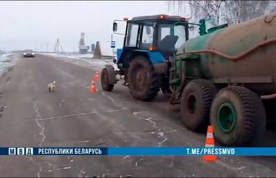 Трактор сбил семилетнюю девочку в Могилевском районе