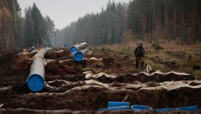 Инвестиции "Газпрома" в Новгородскую область вырастут в 5 раз