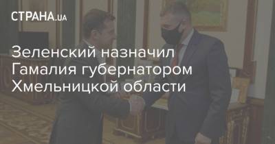 Зеленский назначил Гамалия губернатором Хмельницкой области