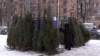 Власти Омской области оставили 31 декабря рабочим днем