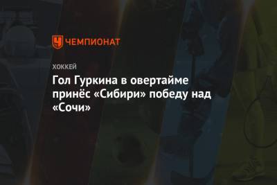 Гол Гуркина в овертайме принёс «Сибири» победу над «Сочи»