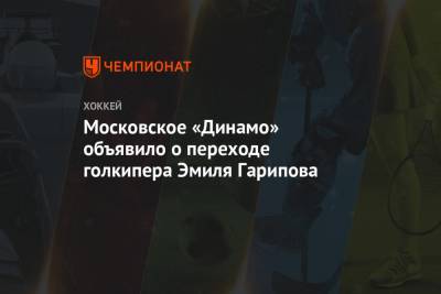 Московское «Динамо» объявило о переходе голкипера Эмиля Гарипова