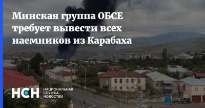 Минская группа ОБСЕ требует вывести всех наемников из Карабаха