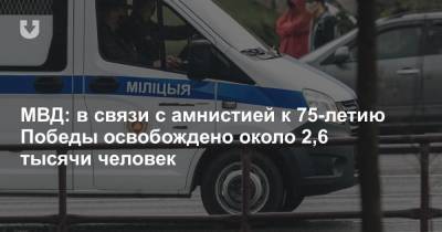 МВД: в связи с амнистией к 75-летию Победы освобождено около 2,6 тысячи человек