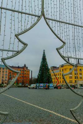 На Красной площади Выборга установили главную новогоднюю ель
