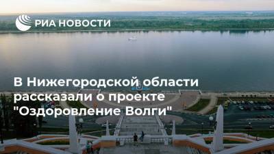 В Нижегородской области рассказали о проекте "Оздоровление Волги"