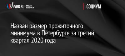 Назван размер прожиточного минимума в Петербурге за третий квартал 2020 года