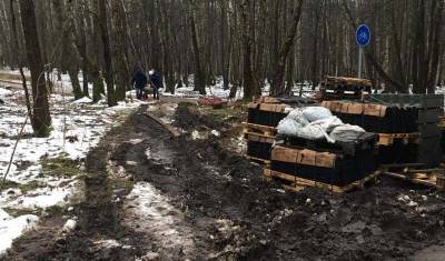 ЗА 100 миллионов рублей в Битцевском лесу «благоустроят» все живое