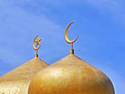 Власти Франции проверят десятки мечетей и выдворят подозреваемых в радикальных настроениях