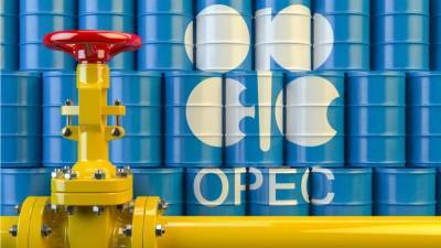 Страны ОПЕК+ приняли решение увеличить добычу нефти в январе на 0,5 млн тонн