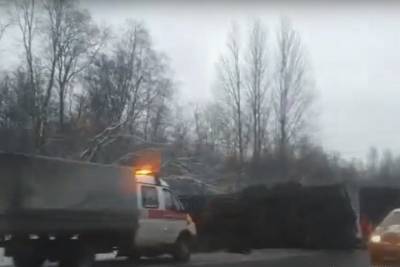 Видео с места столкновения грузовика и легковушки на трассе Петербург-Псков попало в Сеть