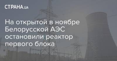 На открытой в ноябре Белорусской АЭС остановили реактор первого блока