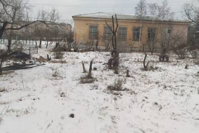 В Улан-Удэ территория школы озеленялась в морозы