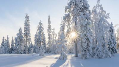 Вильфанд пообещал аномальные морозы в некоторых регионах Сибири