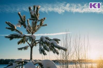 Прогноз погоды в Коми 30 декабря: в Сыктывкаре "потеплеет" до -19