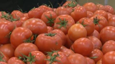 С января разрешен ввоз томатов из Азербайджана и Узбекистана